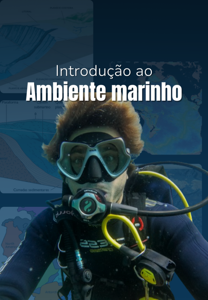 Capa do curso Introdução ao Ambiente Marinho