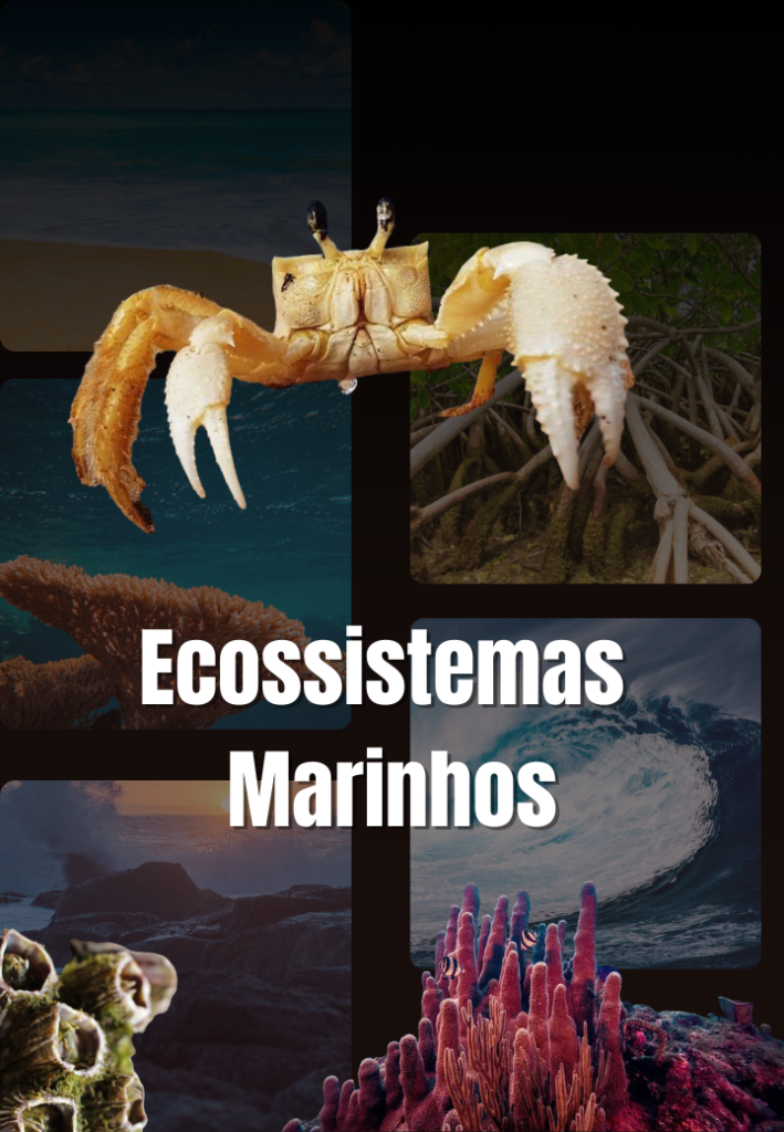 Capa do curso Ecossistemas marinhos