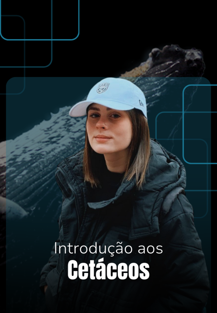 Capa do curso Introdução aos Cetáceos