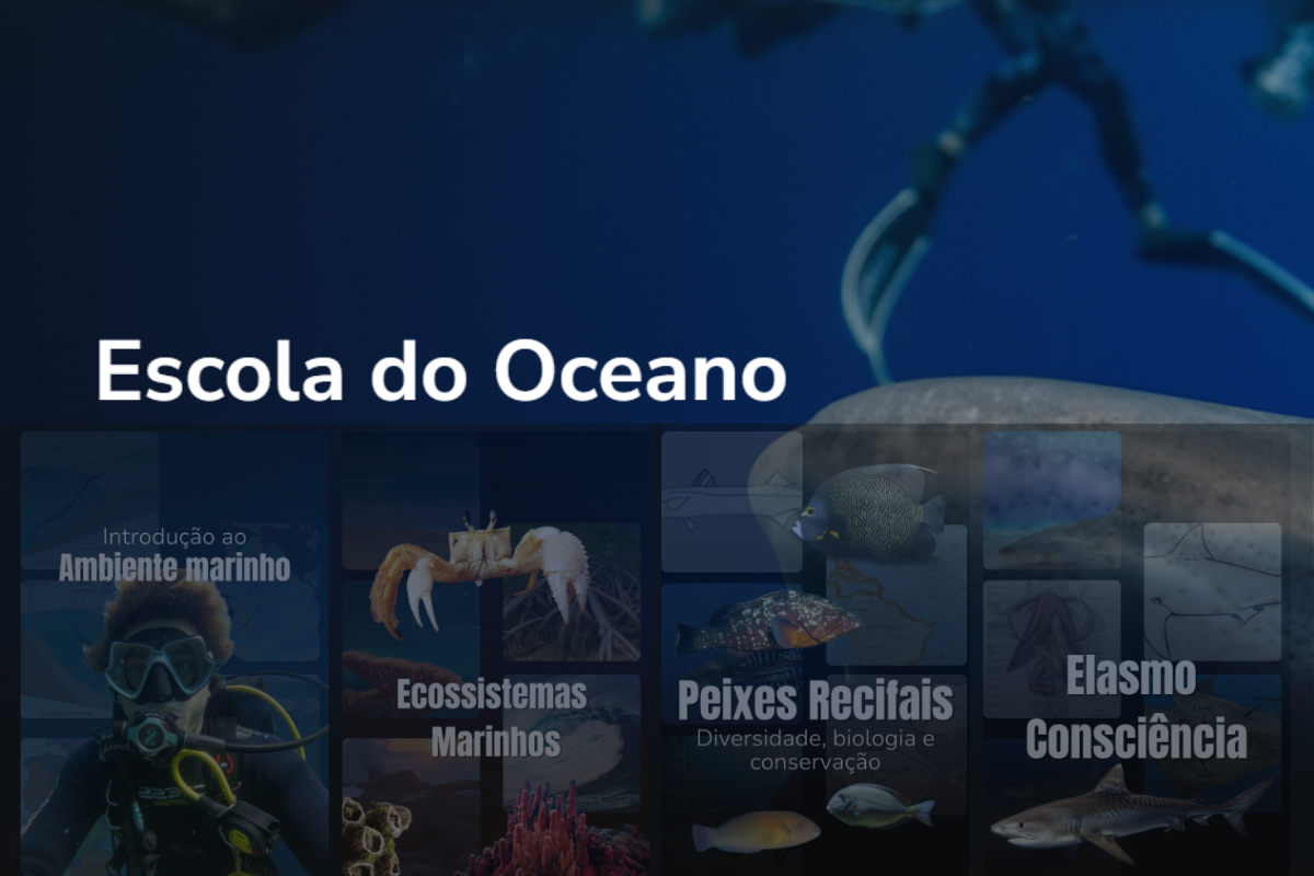 Cursos de Biologia Marinha: Escola do Oceano - Projeto Maui