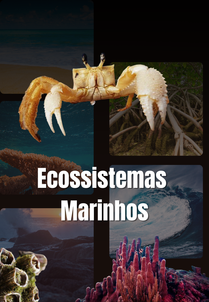 Ecossistemas Marinhos