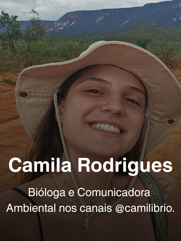 Camila Rodrigues