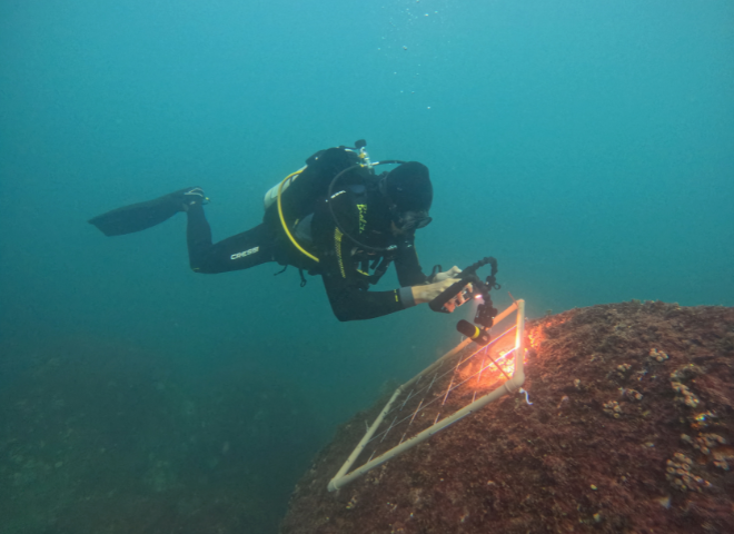 Expedição Ilha de Búzios