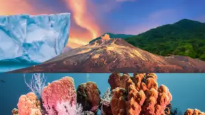 Por que o mar é salgado